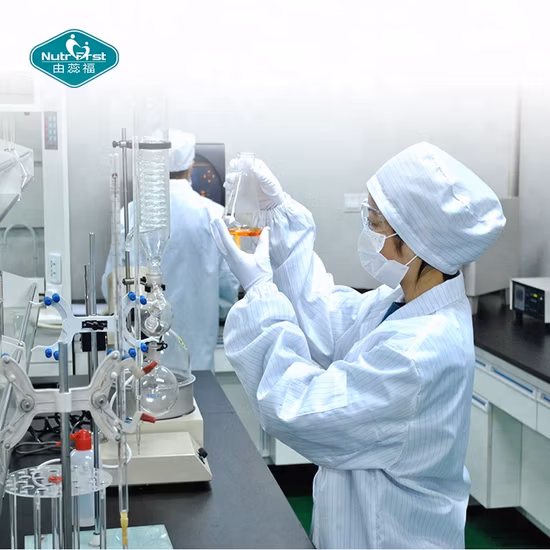 Экстракт органического гриба львиной гривы, травяной порошок гриба Hericium Erinaceus Reishi Cordyceps Militaris